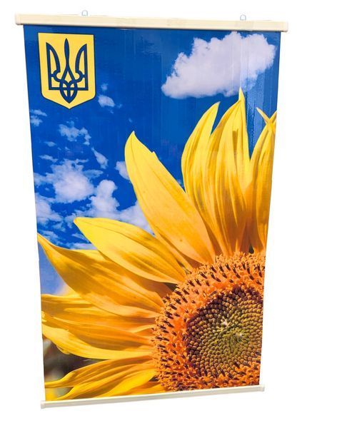Обігрівач настінний підвісний картина шпалери з підігрівом тема соняшник небо подвійна 100 х 60 см 01364 фото